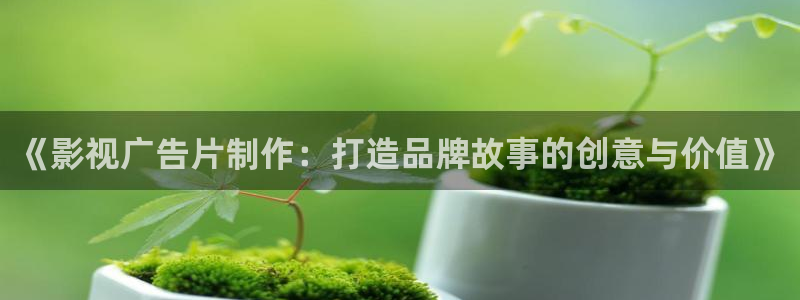 eesuu影院：《影视广告片制作：打造品牌故事的创意与价值》