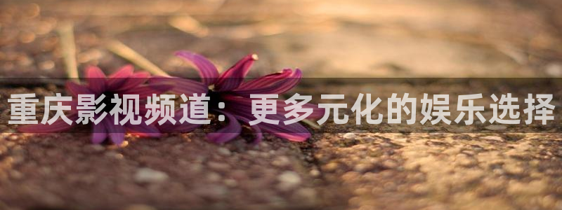 eesuu影院：重庆影视频道：更多元化的娱乐选择