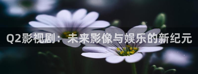 eesuu免费理伦影院：Q2影视剧：未来影像与娱乐的新纪元