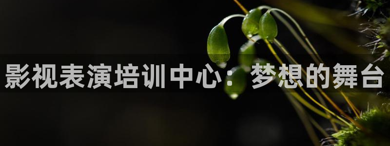 eeuuss在线影院：影视表演培训中心：梦想的舞台