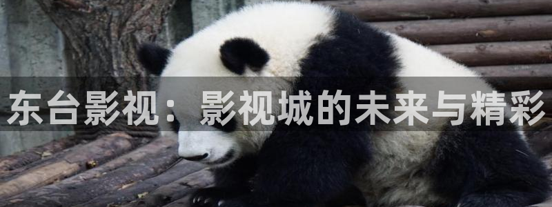 uu影院官网：东台影视：影视城的未来与精彩