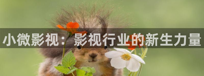 www.eesuu影院8：小微影视：影视行业的新生力量