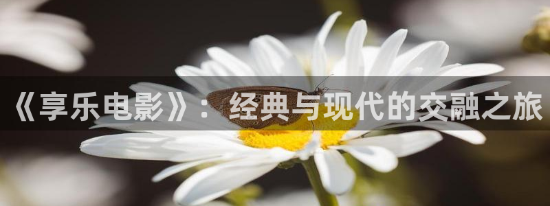 秋霞电影院26uuu：《享乐电影》：经典与现代的交融之旅